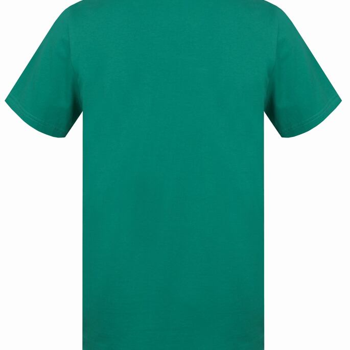 Tričko - krátký rukáv HANNAH MATAR Man, vivid green